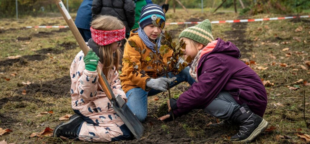 Stadtgrün statt Geschenke – 1.200 Bäume für ein besseres Stadtklima geplanzt